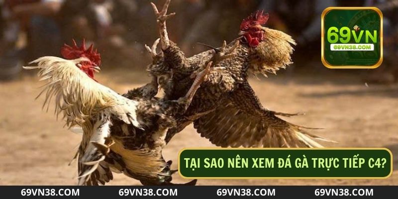 Tham khảo những phân tích chuyên sâu về trận đấu từ các chuyên gia